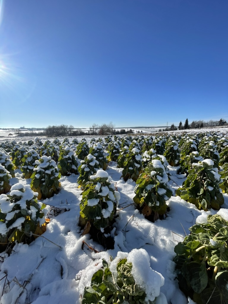 Winterbrief 2025/2026